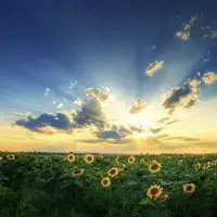 問不下，從蕭山到河南周口市項城市是多少錢一噸