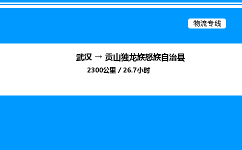 武漢到貢山縣物流專線-武漢至貢山縣貨運公司
